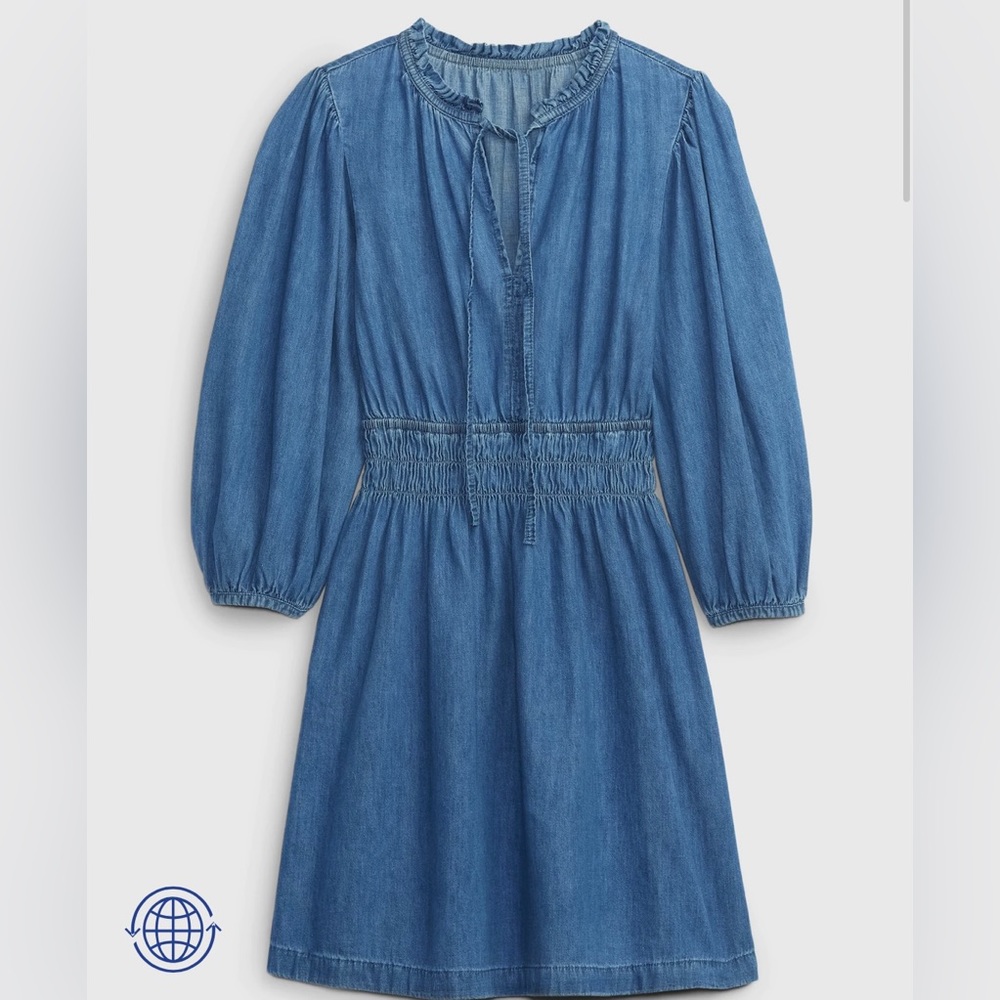 Gap Denim Dress